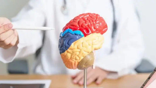 Le syndrome ADNP : quand un fragment d’ADN change toute une vie